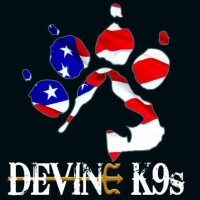 Devine K9s logo, Devine K9s contact details