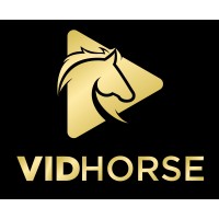 VidHorse logo, VidHorse contact details