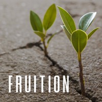 Fruition Co. logo, Fruition Co. contact details