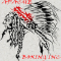 Apache Boxing logo, Apache Boxing contact details