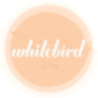 Whitebird Photography logo, Whitebird Photography contact details