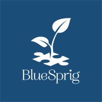 BlueSprig - formerly Thrive Autism Solutions logo, BlueSprig - formerly Thrive Autism Solutions contact details