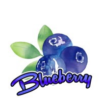 BlueBerry Foods Pvt Ltd logo, BlueBerry Foods Pvt Ltd contact details