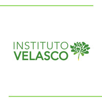 Instituto Velasco logo, Instituto Velasco contact details