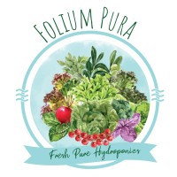 Folium Pura - Hydroponics Farm | Ahmedabad logo, Folium Pura - Hydroponics Farm | Ahmedabad contact details