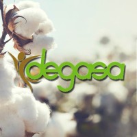 Degasa S.A. de C.V. logo, Degasa S.A. de C.V. contact details