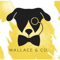 Wallace & Co. logo, Wallace & Co. contact details