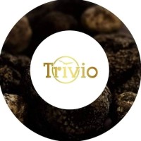 Grupo Trivio logo, Grupo Trivio contact details