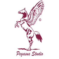 Pegasus Studios logo, Pegasus Studios contact details