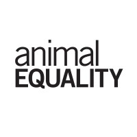 Animal Equality logo, Animal Equality contact details