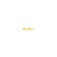 Regillus logo, Regillus contact details