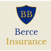 Brian Berce Insurance Agency, Inc. logo, Brian Berce Insurance Agency, Inc. contact details