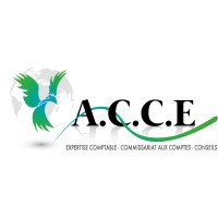 A.C.C.E. - Audit Conseil Comptabilité Expertise logo, A.C.C.E. - Audit Conseil Comptabilité Expertise contact details