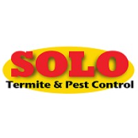 Solo Termite and Construction logo, Solo Termite and Construction contact details