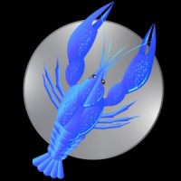 Blue Lobster Marketing logo, Blue Lobster Marketing contact details