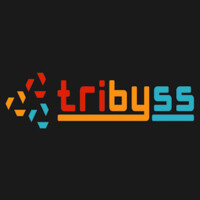 Tribyss App Solutions Private Limited logo, Tribyss App Solutions Private Limited contact details