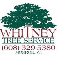 Whitney Tree Service logo, Whitney Tree Service contact details