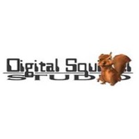 Digital Squirrel Studio logo, Digital Squirrel Studio contact details