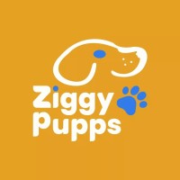 Ziggy Pupps logo, Ziggy Pupps contact details