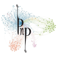 PnP IT Solutions logo, PnP IT Solutions contact details