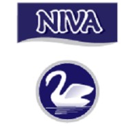 NIVA DOO ŽABALJ logo, NIVA DOO ŽABALJ contact details