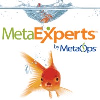 MetaExperts™ logo, MetaExperts™ contact details