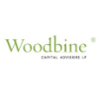 Woodbine Capital Advisors LP logo, Woodbine Capital Advisors LP contact details