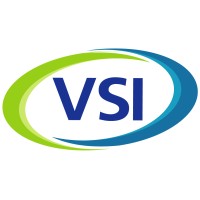 The VSI Team logo, The VSI Team contact details