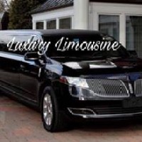 Luxury Limousine logo, Luxury Limousine contact details