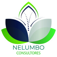 Nelumbo Consultores logo, Nelumbo Consultores contact details