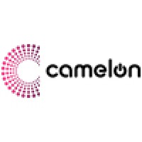 Camelon ICT Solutions logo, Camelon ICT Solutions contact details