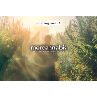 Mercannabis logo, Mercannabis contact details