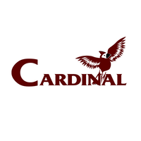 Cardinal Software Services Inc. now LEARNstyle Ltd logo, Cardinal Software Services Inc. now LEARNstyle Ltd contact details