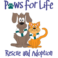 Paws for Life Animal Rescue logo, Paws for Life Animal Rescue contact details