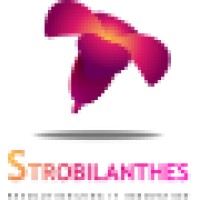 Strobilanthes Technology Solutions India P.v.t Ltd logo, Strobilanthes Technology Solutions India P.v.t Ltd contact details