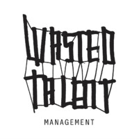 Wasted Talent Entertainment GmbH logo, Wasted Talent Entertainment GmbH contact details