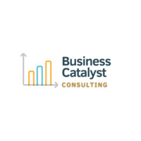 Business Catalyst Consulting logo, Business Catalyst Consulting contact details