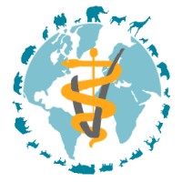 Safari4u Global Vet Experience logo, Safari4u Global Vet Experience contact details