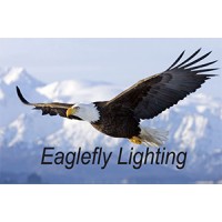 Shenzhen Eaglefly Lighting Co.,Ltd logo, Shenzhen Eaglefly Lighting Co.,Ltd contact details