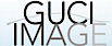 Guci Cosmetic Image Institute logo, Guci Cosmetic Image Institute contact details