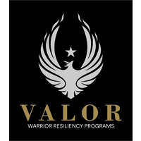 Valor Resiliency logo, Valor Resiliency contact details