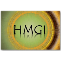 HMGI (Hughes Media Group Inc.) logo, HMGI (Hughes Media Group Inc.) contact details