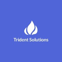 Trident Solution - India logo, Trident Solution - India contact details