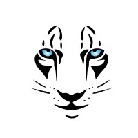 The WildTigers Technologies logo, The WildTigers Technologies contact details