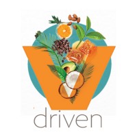 VDriven Consulting logo, VDriven Consulting contact details