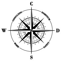 Safety & Consulting WSD S.A. de C.V. logo, Safety & Consulting WSD S.A. de C.V. contact details