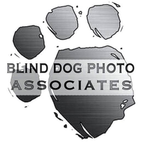 Blind Dog Photo, Inc. logo, Blind Dog Photo, Inc. contact details