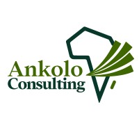 Ankolo Consulting logo, Ankolo Consulting contact details