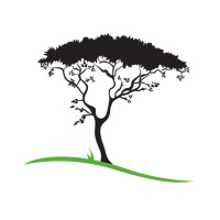 The Joshua Tree - Rand Speech Pathology logo, The Joshua Tree - Rand Speech Pathology contact details