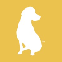 YellowDog logo, YellowDog contact details